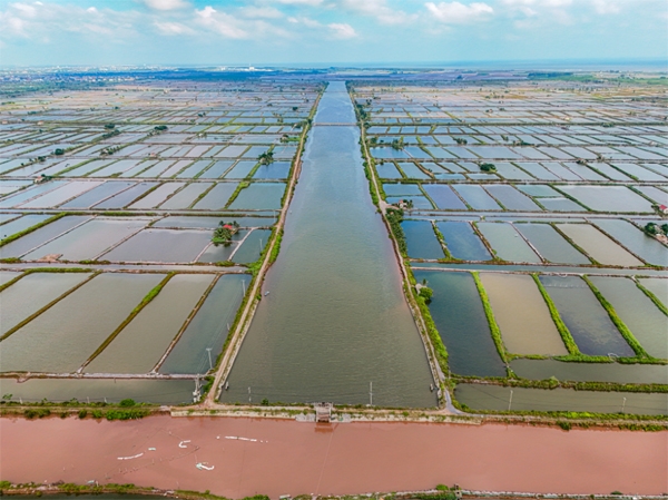 Tỉnh Nam Định: Giải phóng mặt bằng, hỗ trợ nhà đầu tư là nhiệm vụ quan trọng hàng đầu