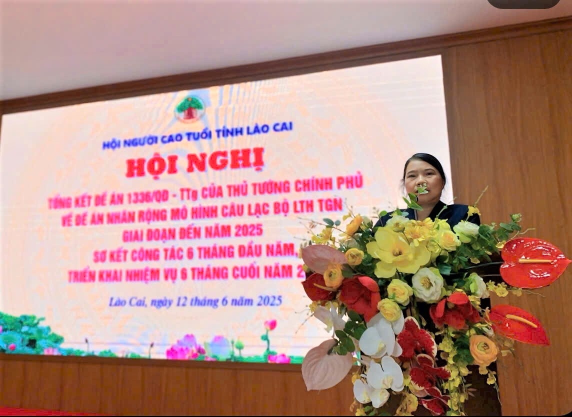 Bà Hà Thị Thiệp, Chủ tịch Hội NCT tỉnh baocs cáo kết quả thực hiện Đề án 1336 trên địa bàn tỉnh