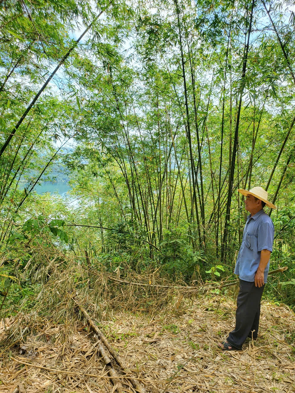 Người cao tuổi mong được Hội đồng xét xử phúc thẩm xem xét toàn diện nội dung vụ án