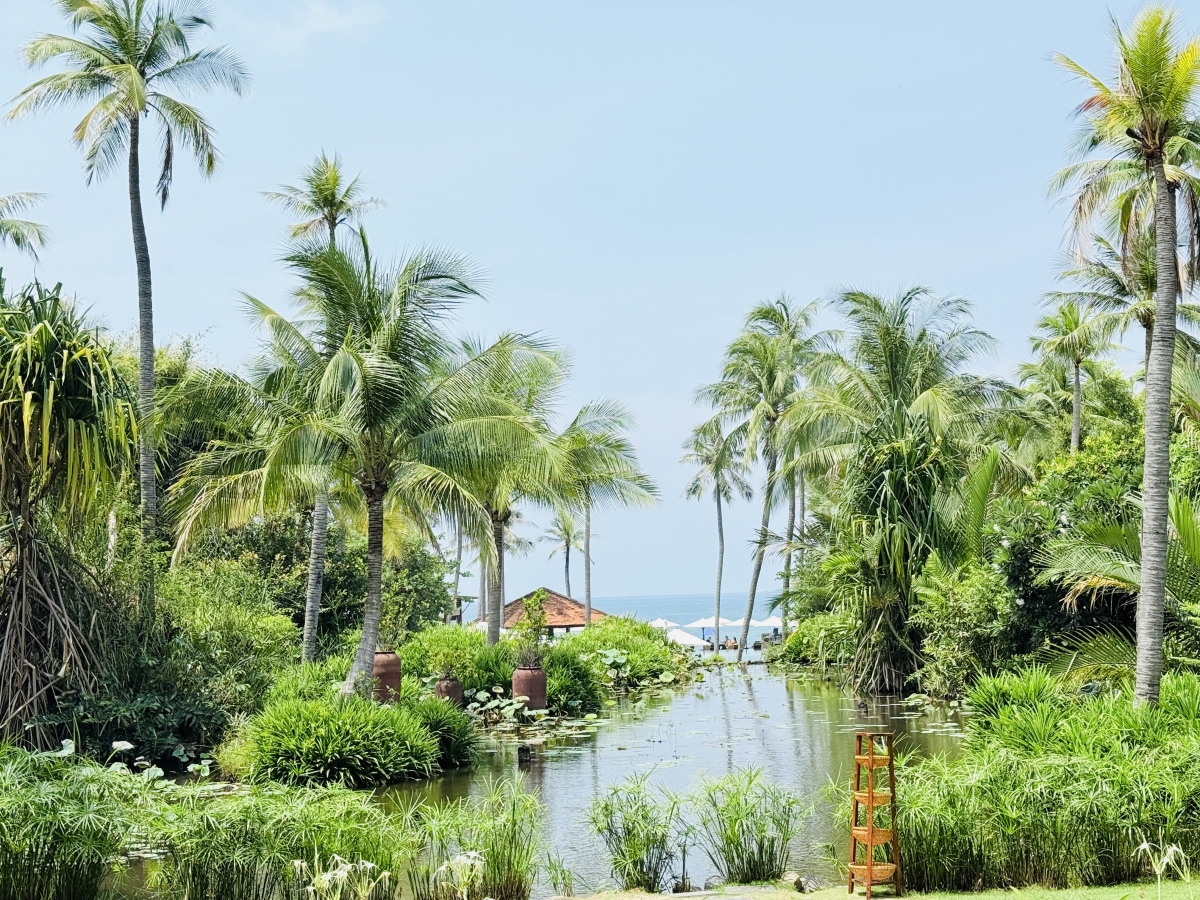 Du lịch hè Bình Thuận: Những trải nghiệm bất tận