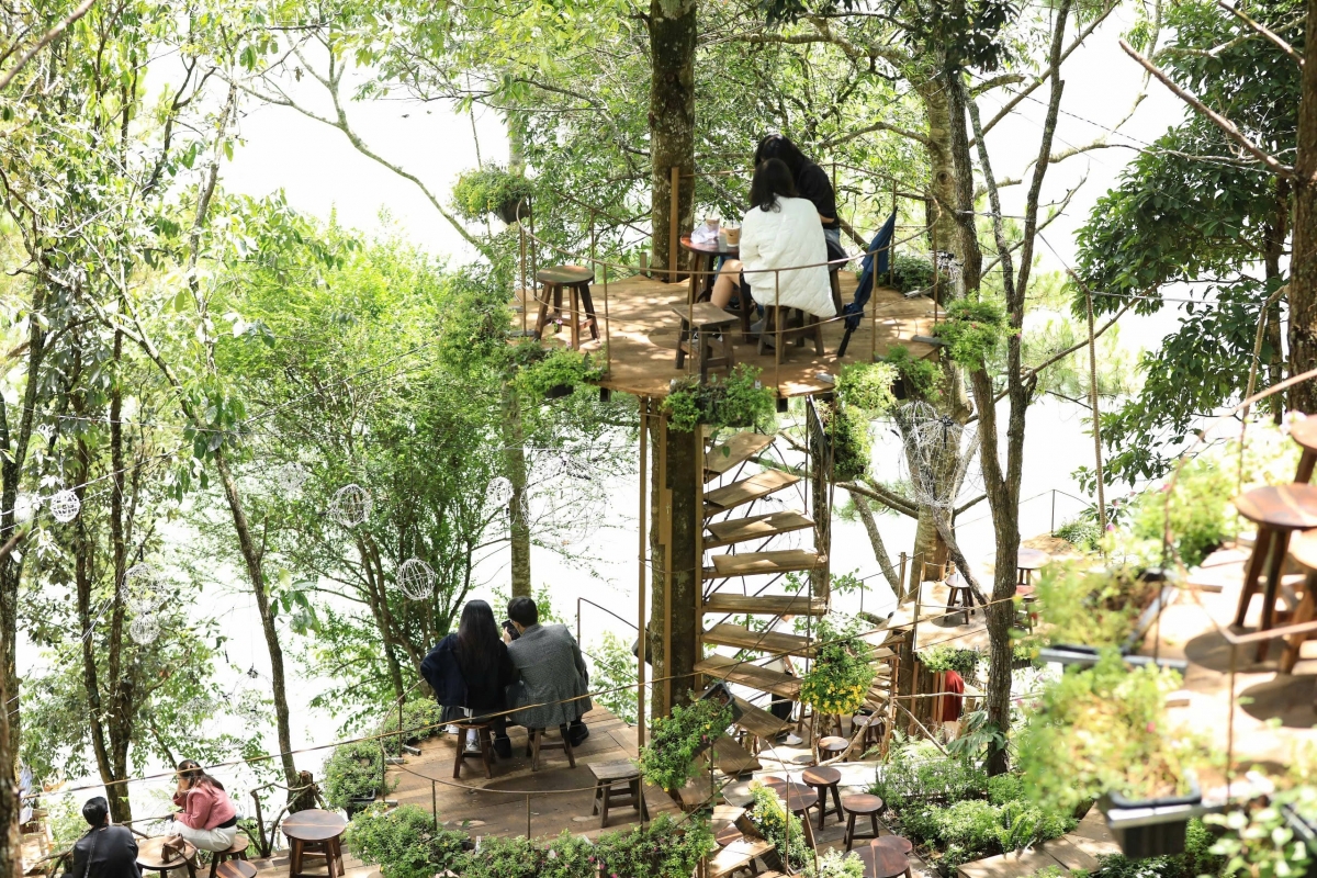 Cần làm rõ và xử lý nghiêm theo quy định pháp luật