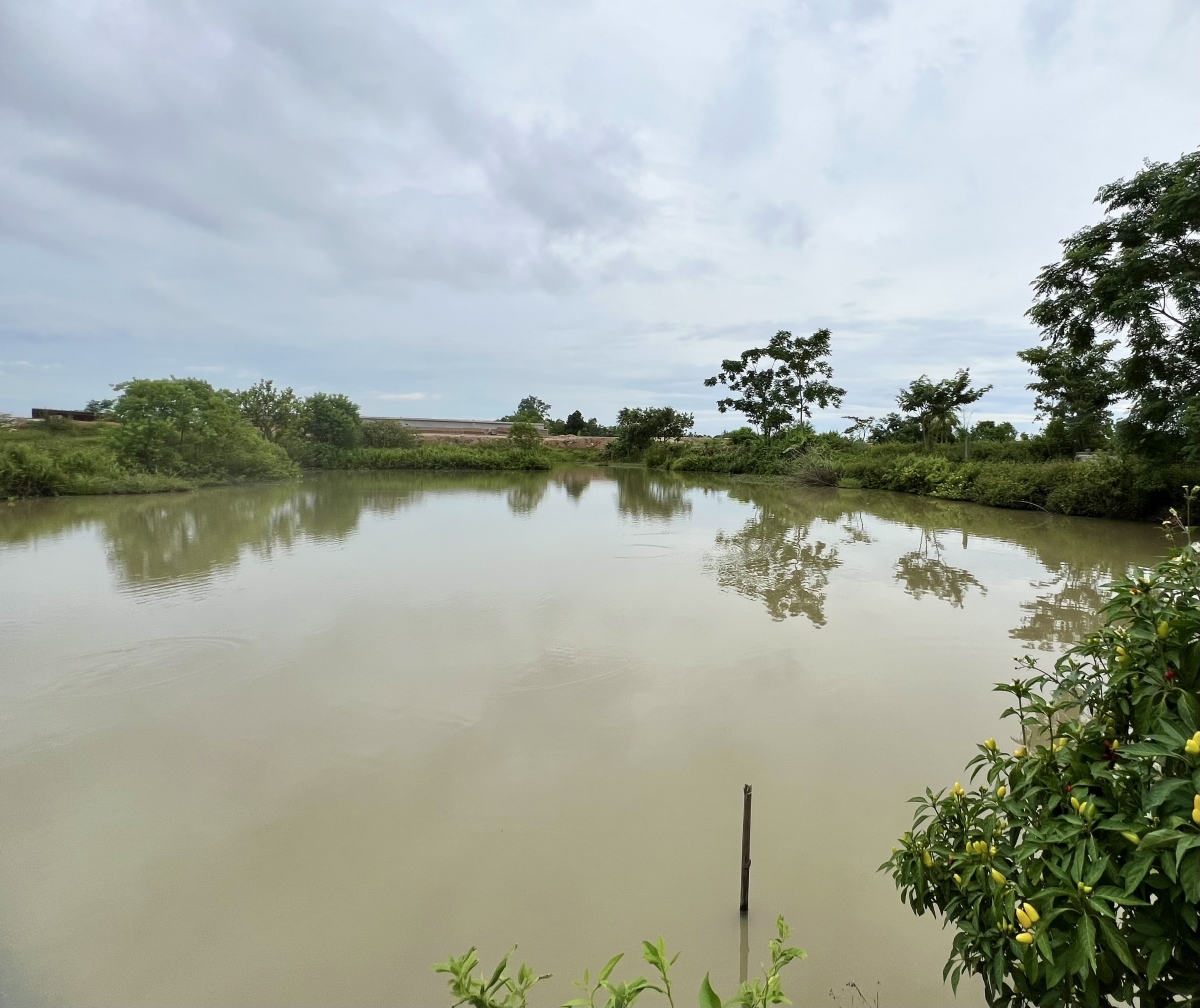 Hai ông thông gia làm giàu từ nuôi cáy