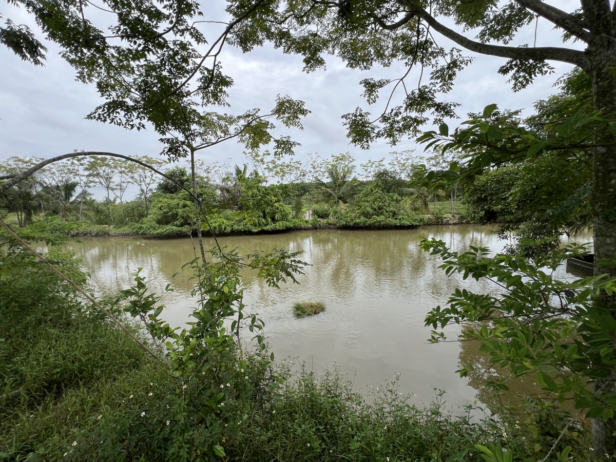 Hai ông thông gia làm giàu từ nuôi cáy