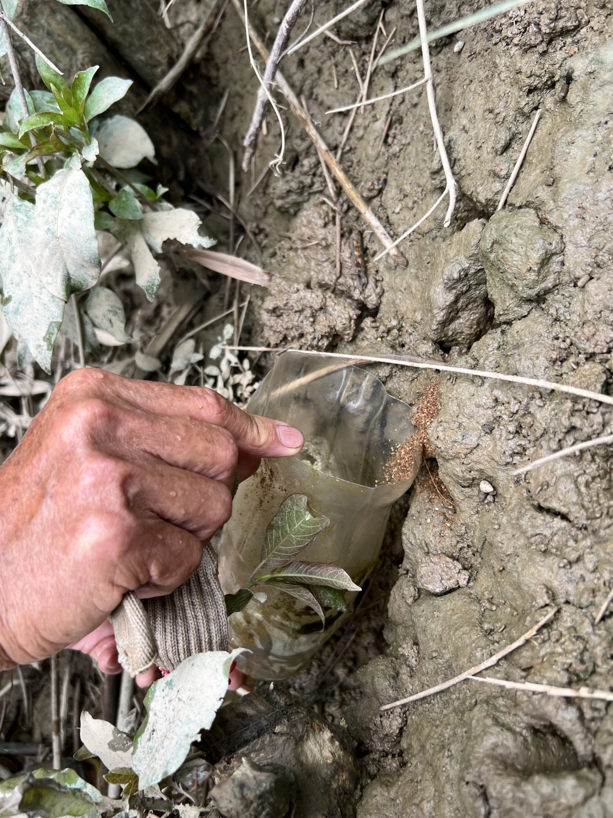 Hai ông thông gia làm giàu từ nuôi cáy