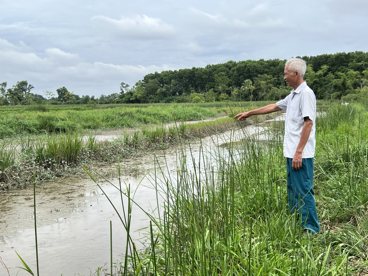 Hai ông thông gia làm giàu từ nuôi cáy