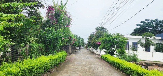 Thanh Hóa: Người cao tuổi xã Hồ Vương tích cực chung tay xây dựng nông thôn mới