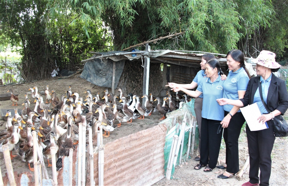 Mô hình vay vốn tăng thu nhập của CLB LTHTGN ở tỉnh Khánh Hòa