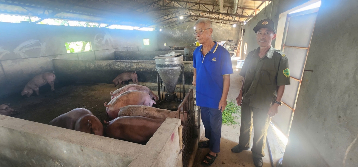 Người cao tuổi làm giàu từ mô hình trang trại tổng hợp