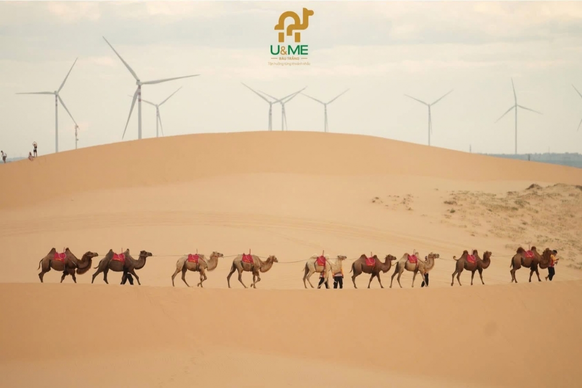 Lâm Đồng – Biển,  ngàn hoa và đại ngàn xanh