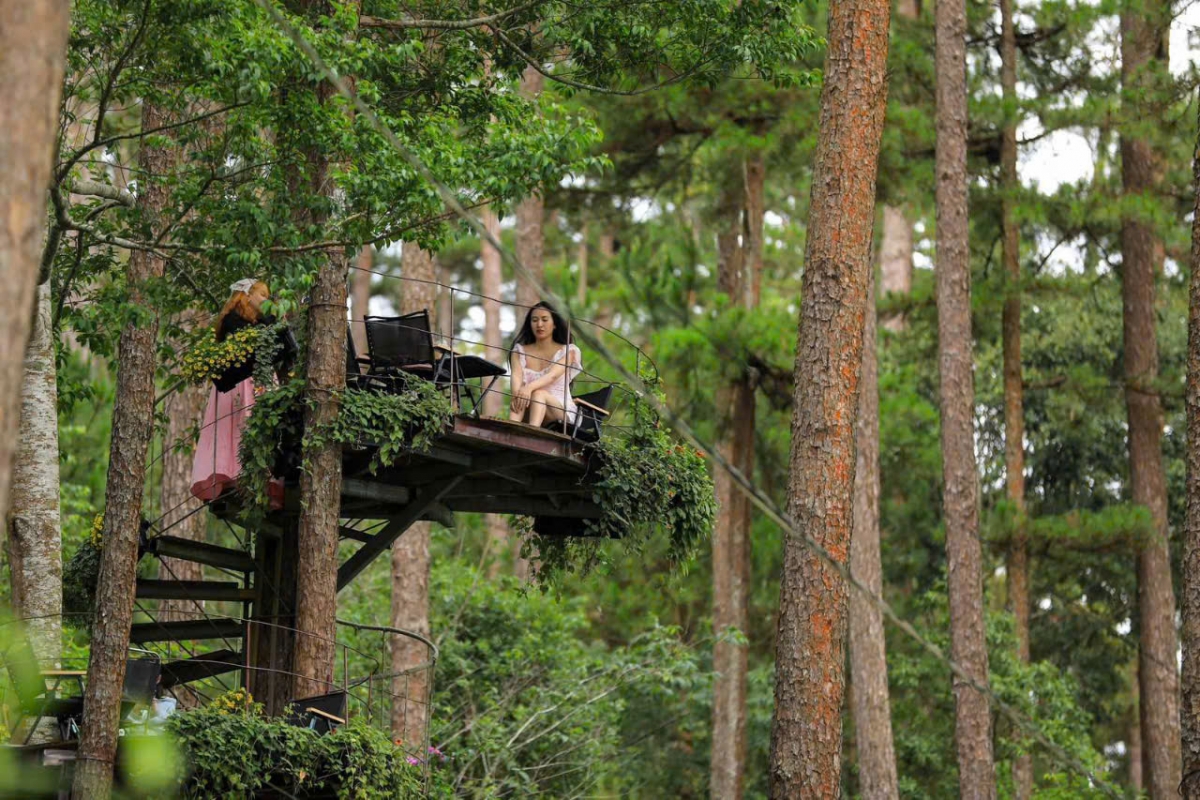 Cần làm rõ và xử lý nghiêm theo quy định pháp luật