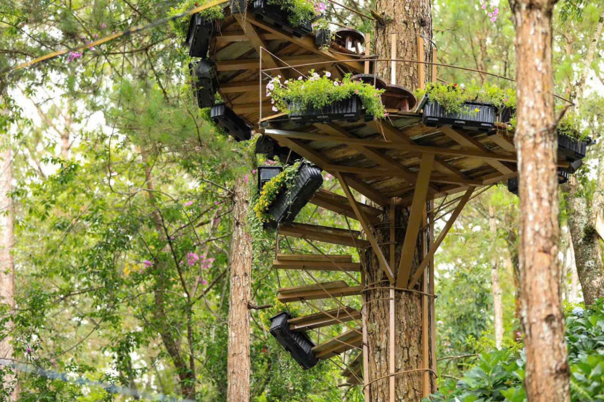 Cần làm rõ và xử lý nghiêm theo quy định pháp luật