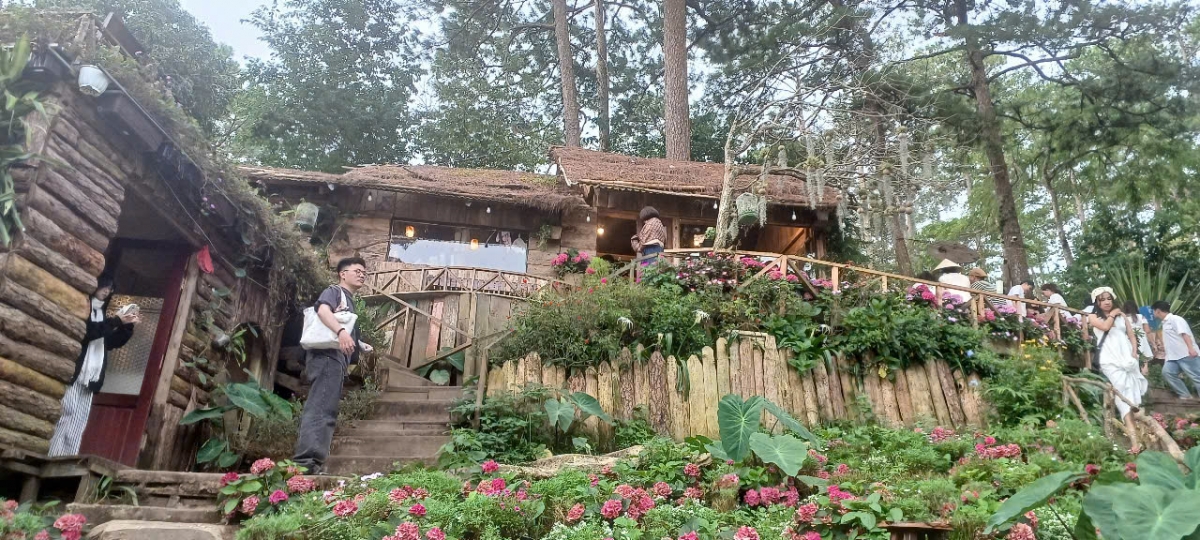 Cần làm rõ và xử lý nghiêm theo quy định pháp luật