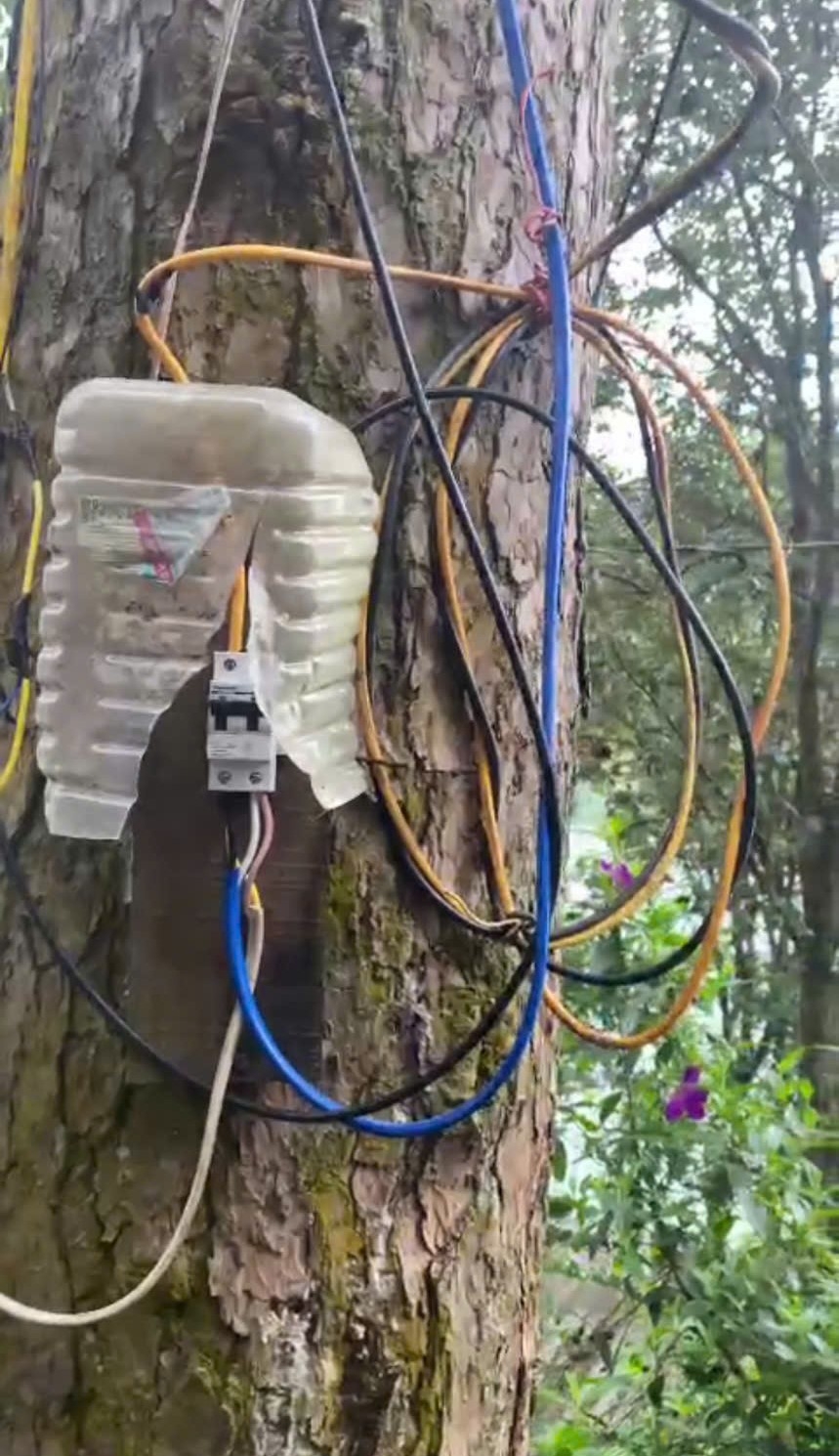 Cần làm rõ và xử lý nghiêm theo quy định pháp luật