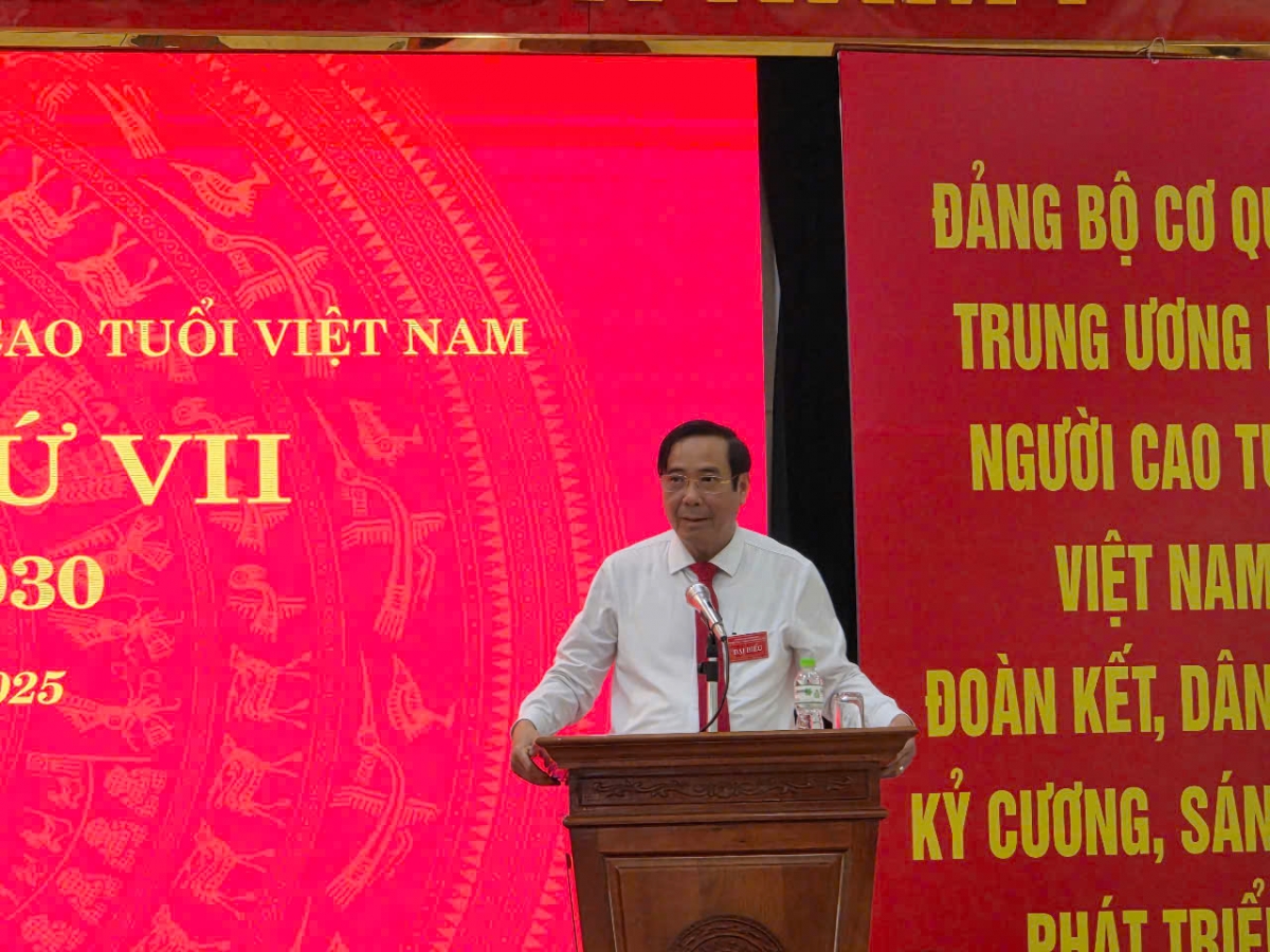 Đồng chí Nguyễn Thanh Bình, Chủ tịch Hội NCT Việt Nam, Bí thư Đảng ủy phát biểu chỉ đạo