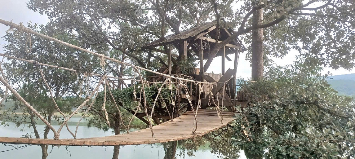 Cần làm rõ và xử lý nghiêm theo quy định pháp luật