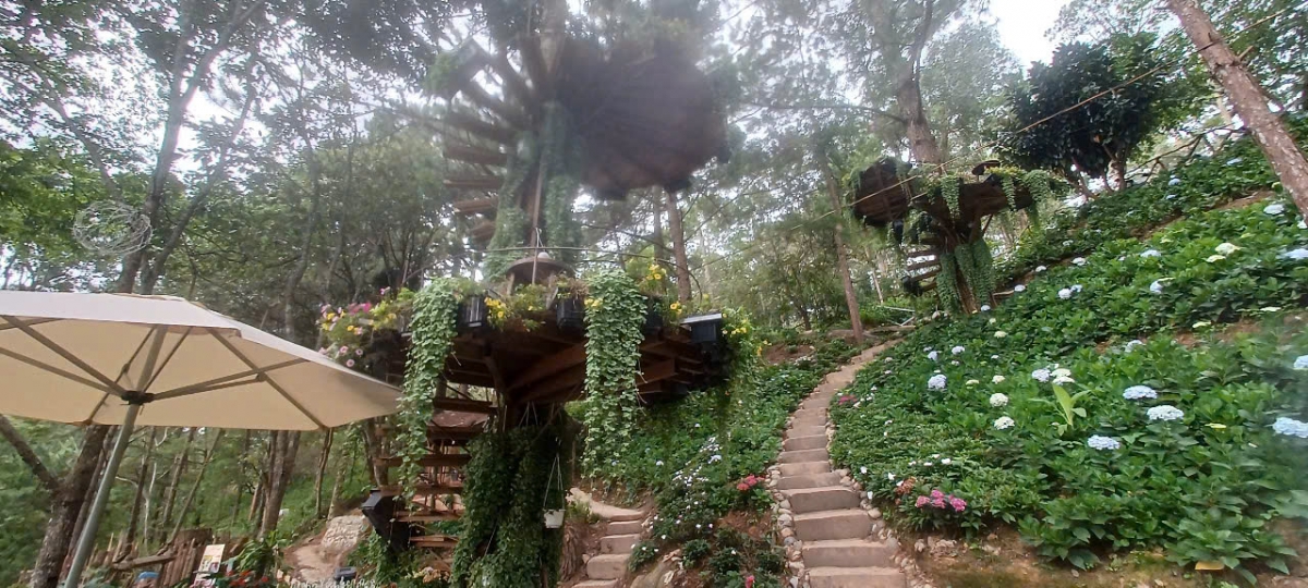 Cần làm rõ và xử lý nghiêm theo quy định pháp luật