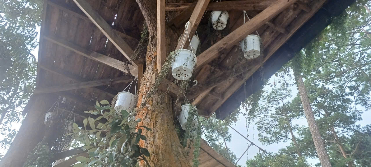 Cần làm rõ và xử lý nghiêm theo quy định pháp luật