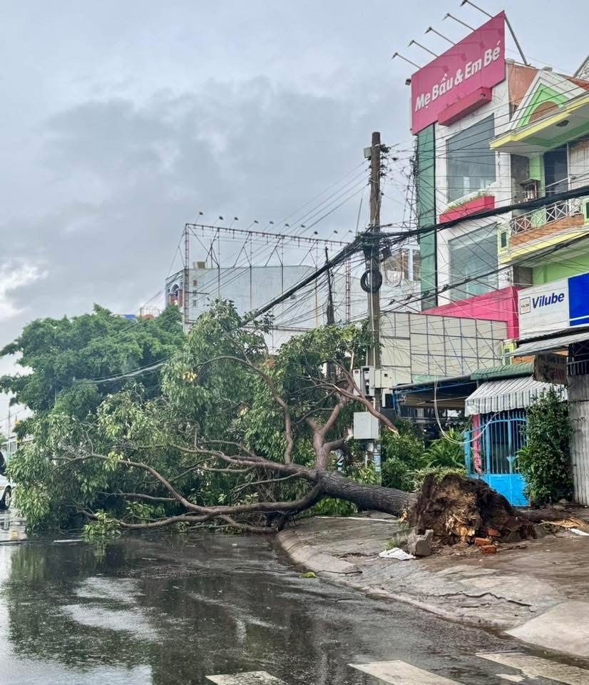 Mưa, lốc xoáy gây thiệt hại nặng cho Lâm Đồng