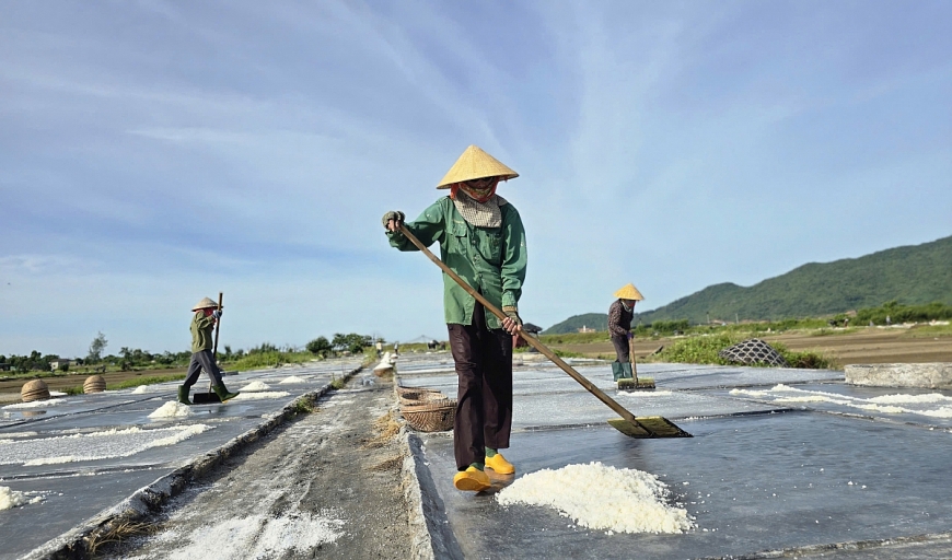 Chỉ còn người cao tuổi làm việc ở làng nghề làm muối