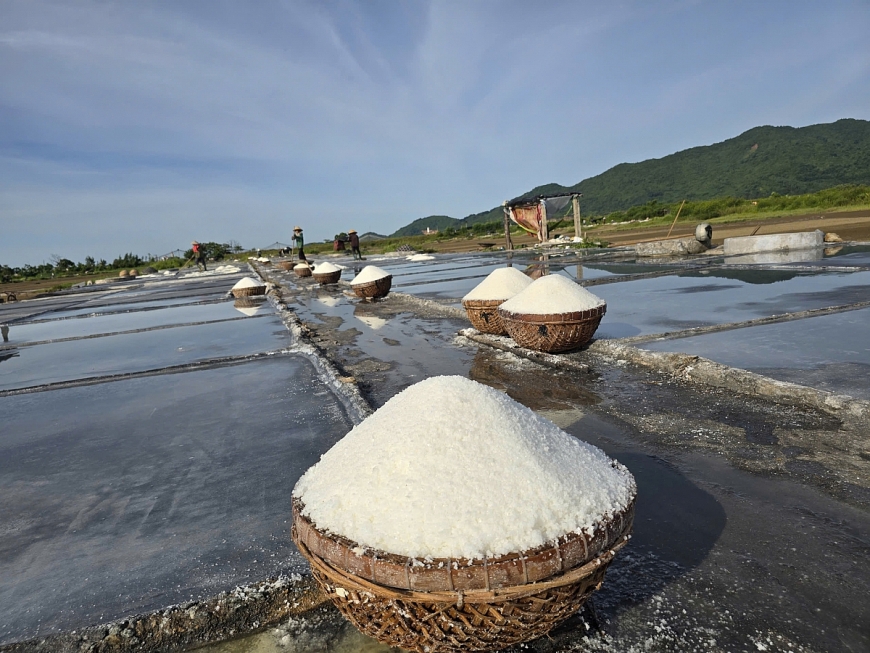 Làng nghề muối thôn Châu Hạ có quá trình hình thành và tồn tại đến nay đã gần 100 năm.