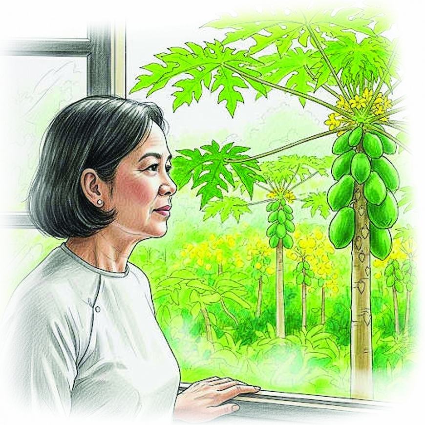 Ngày cây đu đủ ra hoa 