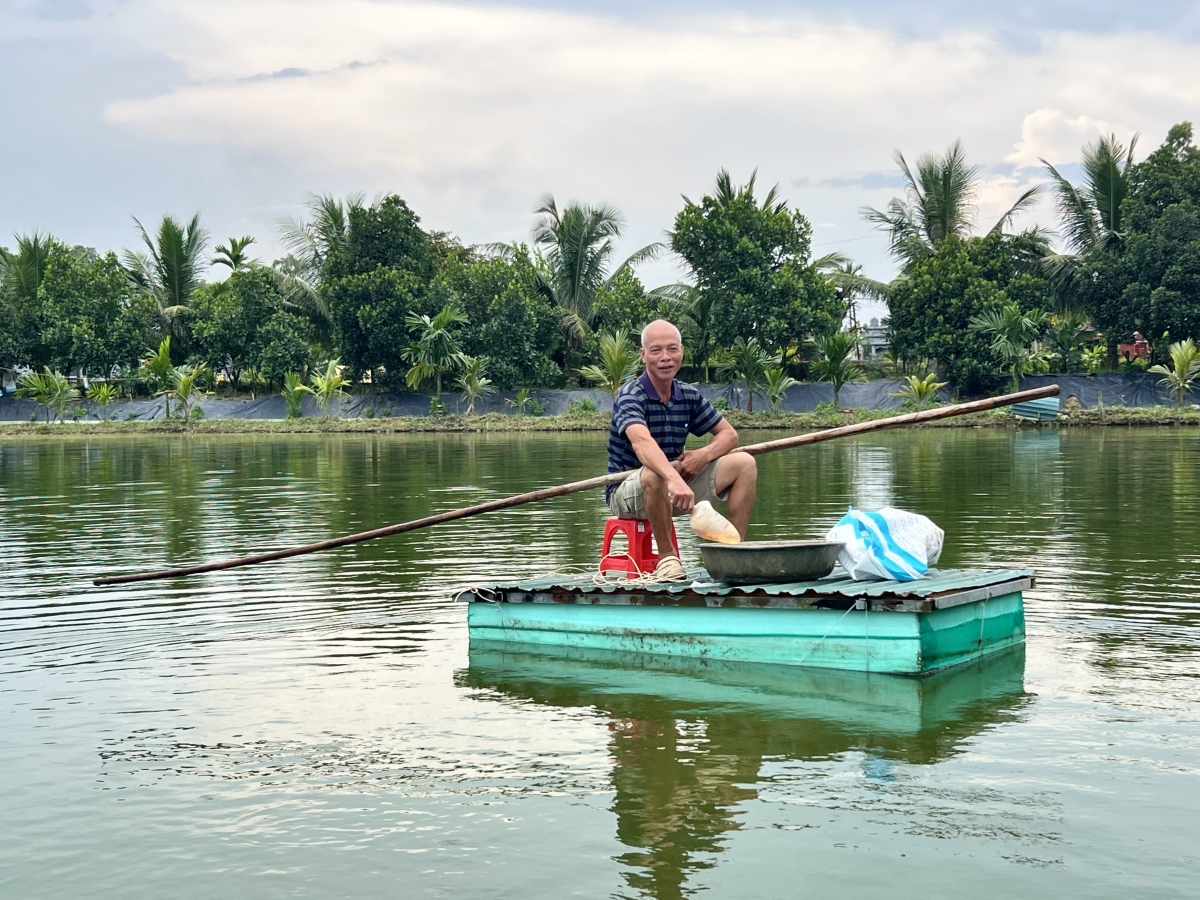 Ông Minh đã mạnh dạn nuôi tôm thẻ trong môi trường nước ngọt