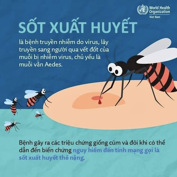 Sốt xuất huyết lây truyền qua vết đốt của muỗi nhiễm virut