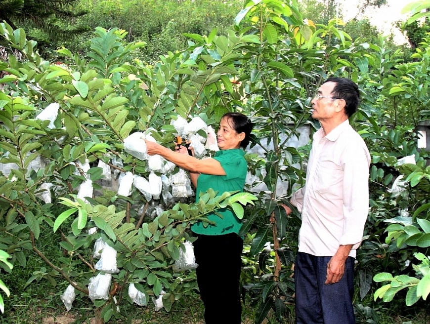 Mô hình NCT làm kinh tế giỏi tỉnh Cao Bằng
