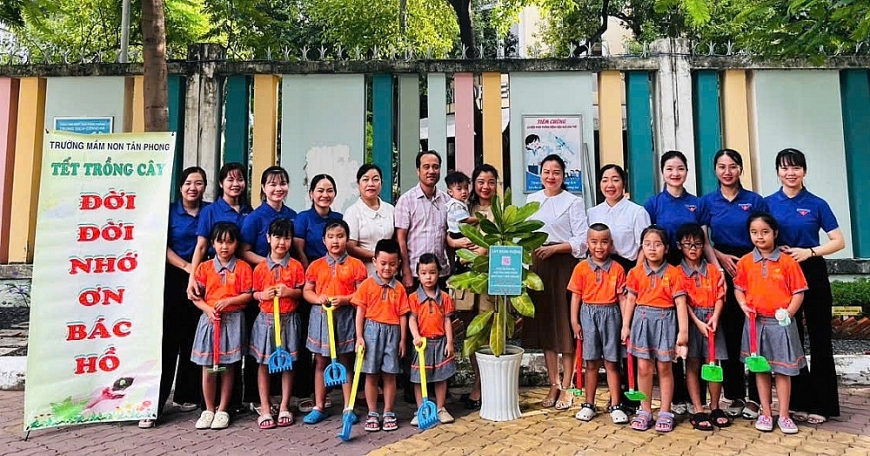 Cây bàng vuông Trường Sa ở Trường Mầm non Tân Phong