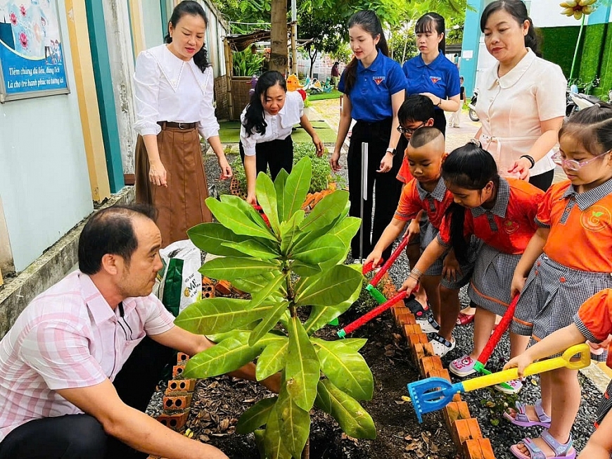 Cây bàng vuông Trường Sa ở Trường Mầm non Tân Phong