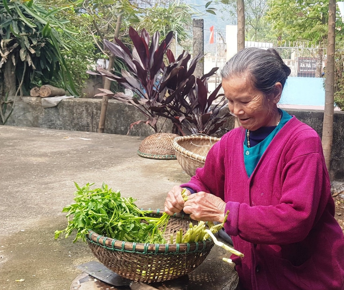 Bà Nguyễn Thị Cúc nhân chứng nữ dân quân bắn rơi máy bay Mỹ