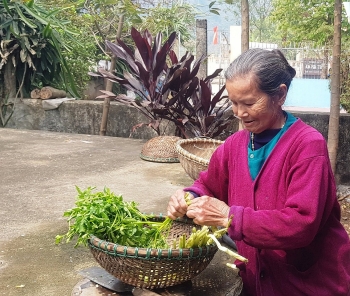 Ký ức hào hùng về Trung đội nữ dân quân bắn rơi máy bay Mỹ