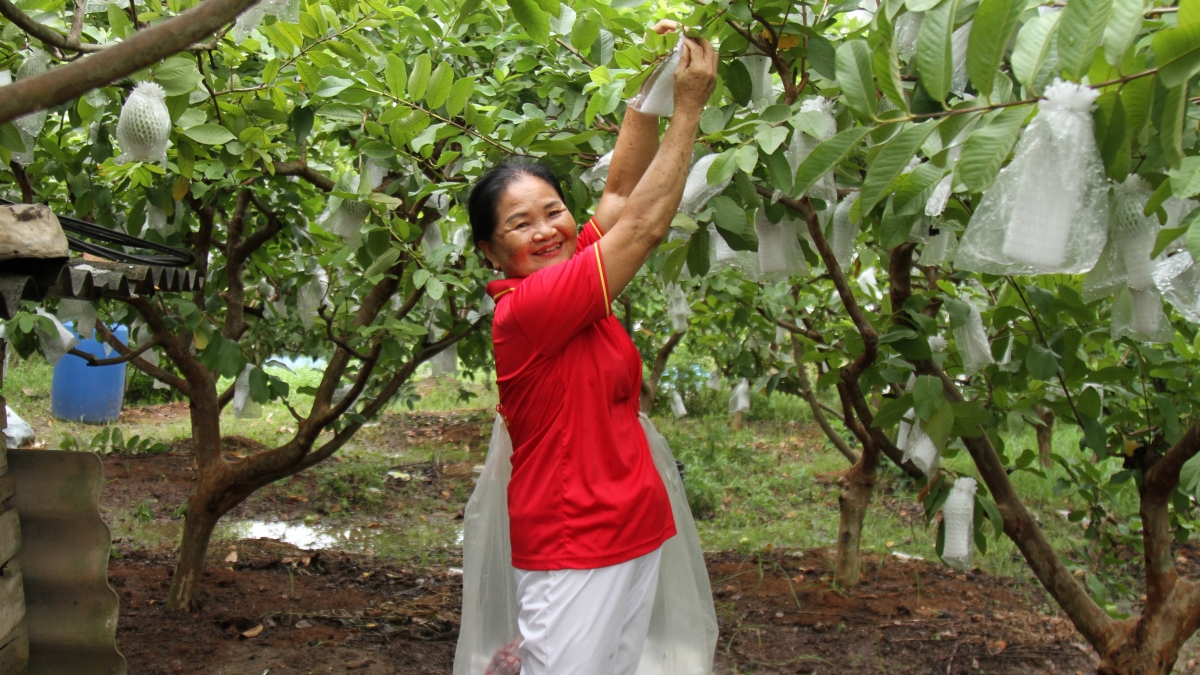 Hà Nội: CLB Liên thế hệ tự giúp nhau thôn Di Trạch lan tỏa giá trị đoàn kết
