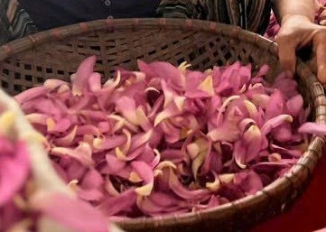 Giữ hồn sen Tây Hồ - câu chuyện từ gia đình nghệ nhân Lưu Thị Hiền