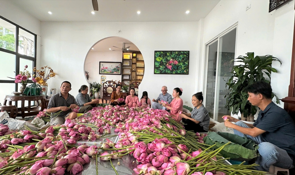 Giữ hồn sen Tây Hồ - câu chuyện từ gia đình nghệ nhân Lưu Thị Hiền