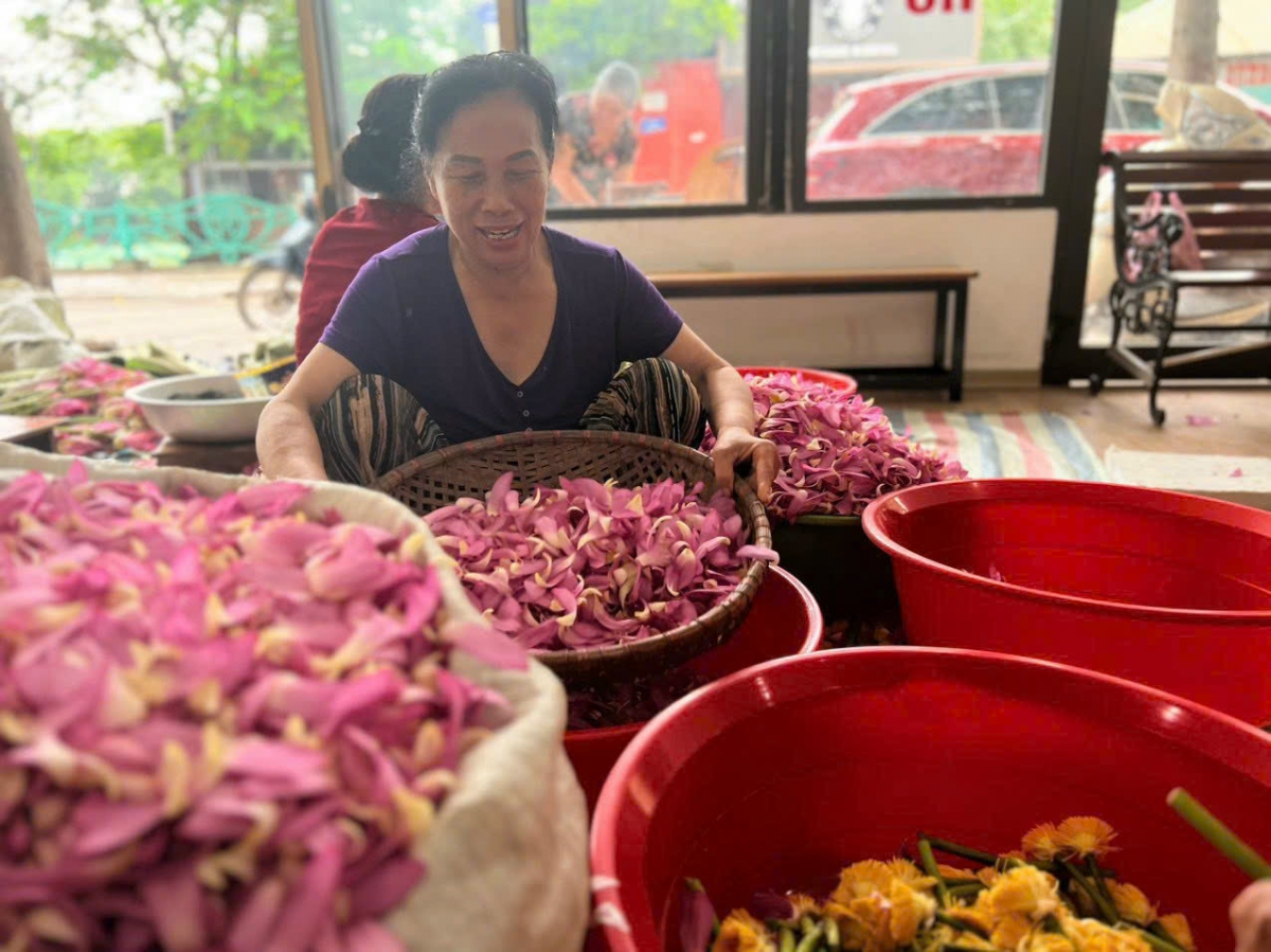 Giữ hồn sen Tây Hồ - câu chuyện từ gia đình nghệ nhân Lưu Thị Hiền