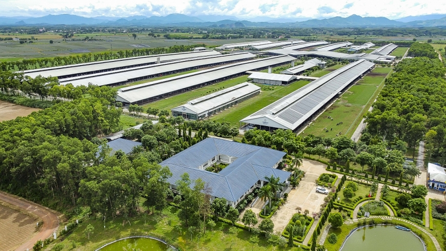 Hệ thống 15 trang trại đạt chuẩn Organic châu Âu và Global S.L.P là nền tảng giúp Vinamilk chủ động nguồn nguyên liệu chất lượng cao (Ảnh: Minh Anh)