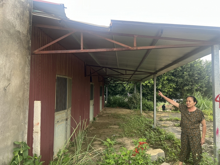 Bà Vũ Thị Thin, 60 tuổi, dân tộc Giáy bức xúc về việc thu hồi đất nhưng không có tái định cư đủ cho các hộ con của bà và còn tái định cư của bà đã ở nhiều năm nhưng chưa được trả sổ đỏ.