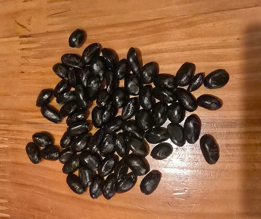 Trong hạt na có chứa nhiều hoạt chất có độc tính, khi ngâm với rượu càng tăng nguy cơ gây tổn thương nghiêm trọng nếu tiếp xúc trực tiếp với mắt, da hay niêm mạc.