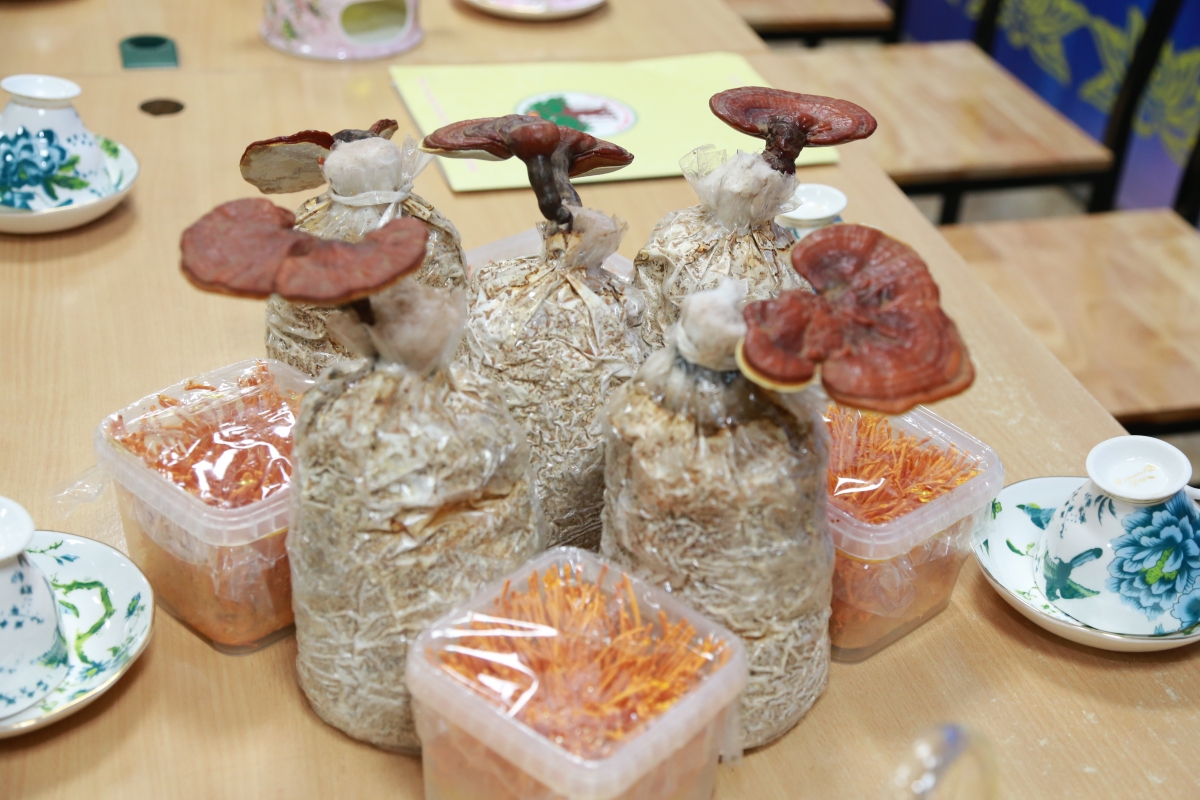 “Người đàn bà của nấm” và khát vọng cống hiến vì sức khỏe cộng đồng