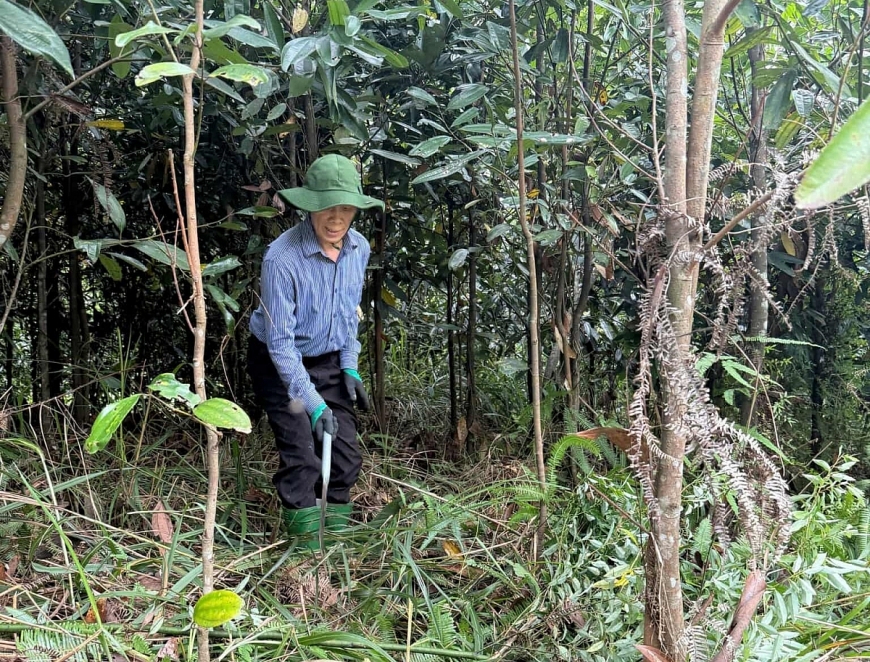 Ông Phan Như Dũng tích cực tham gia lao động sản xuất.