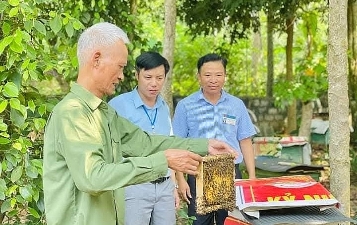 Khởi nghiệp của người cao tuổi: Tiềm năng, thực trạng và giải pháp 