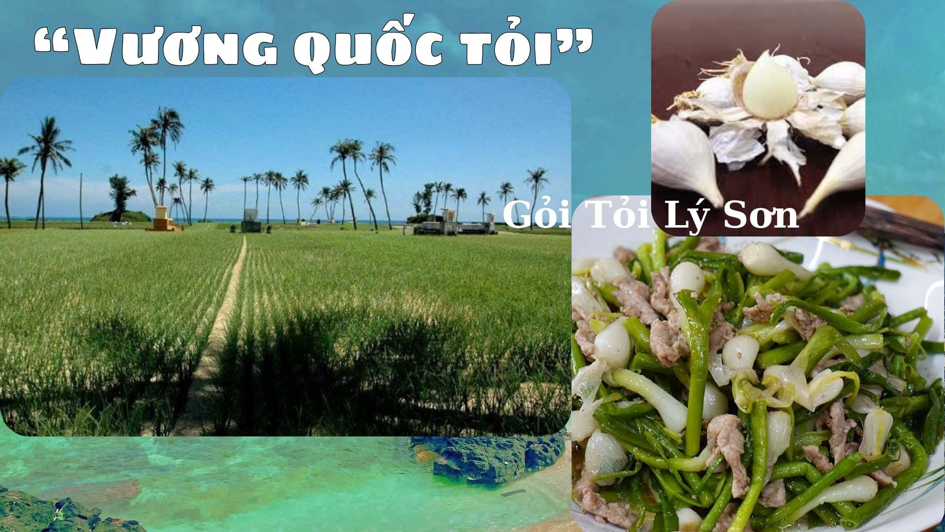 Du lịch Lý Sơn – Nơi tìm về bình yên giữa biển trời Du lịch Lý Sơn – Nơi tìm về bình yên giữa biển trời