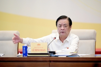 Người cao tuổi – Bóng râm cho cuộc đời