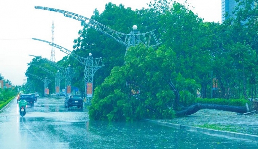 Khẩn trương khắc phục hậu quả bão số 5 và ứng phó mưa lũ sau bão