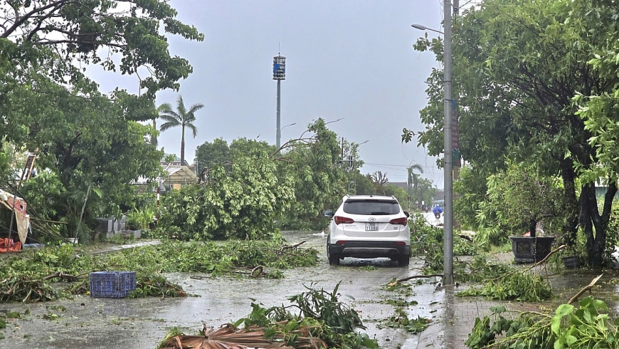 Cây cối ngả nghiêng sau bão gây cản trở giao thông.