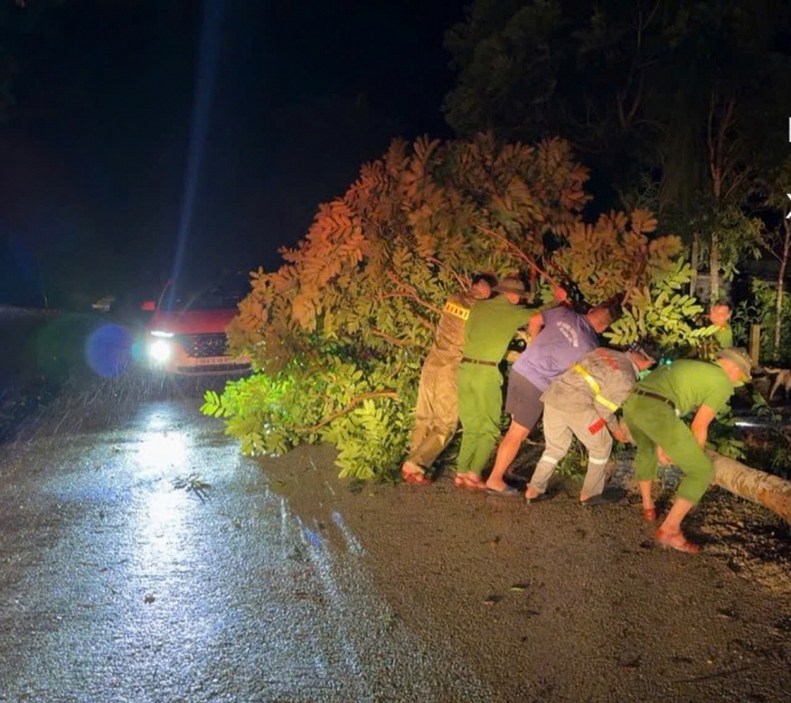 Hà Tĩnh: Khắc phục nhanh thiệt hại do bão số 5