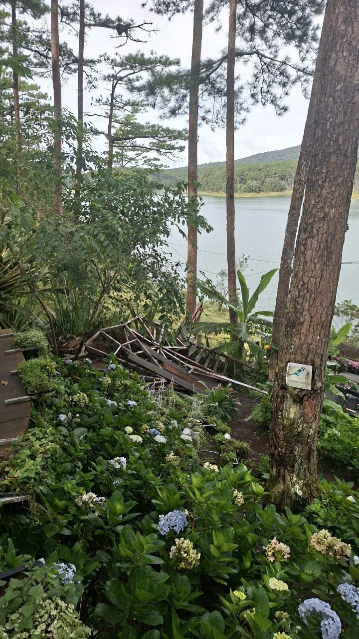 UBND tỉnh Lâm Đồng chỉ đạo xử lý nghiêm vi phạm