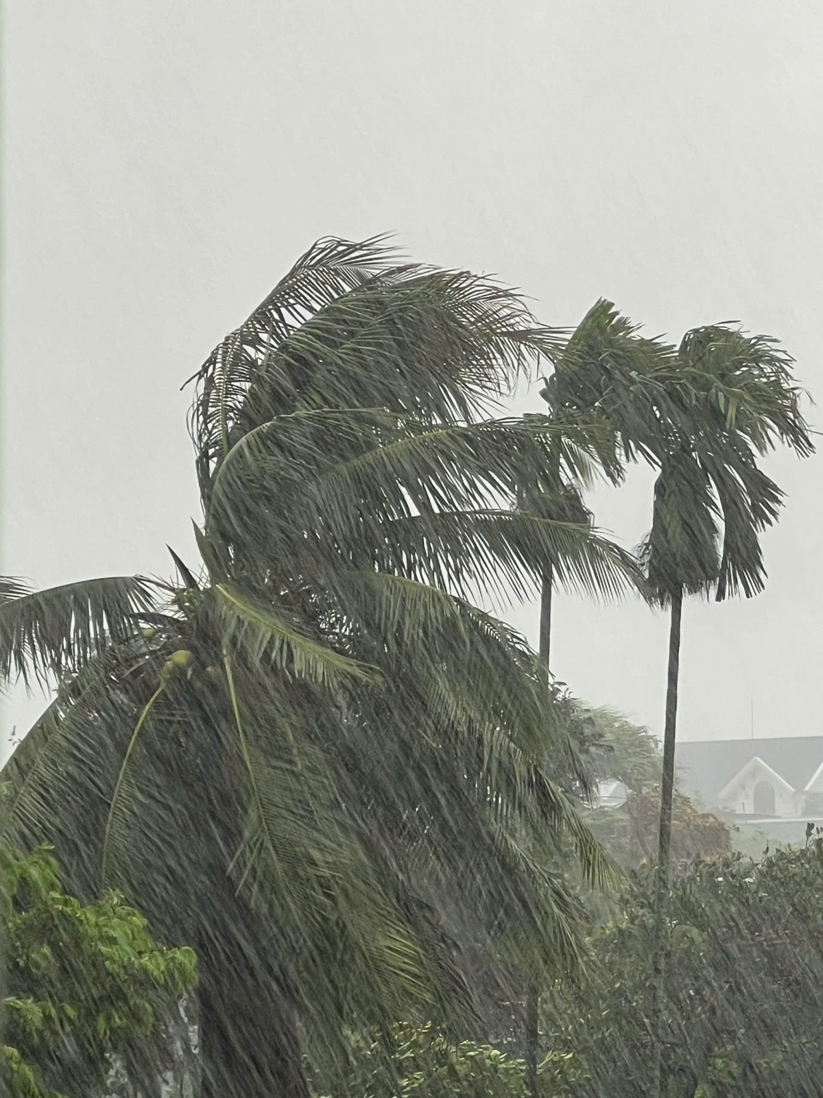 Bão số 5 đổ bộ vào khu vực Nghệ An, Hà Tĩnh gây thiệt hại nạng nề