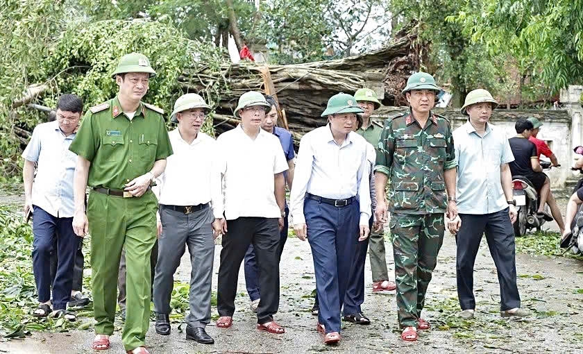 Đoàn công tác của Chủ tịch UBND tỉnh Nghệ An về công tác giải cứu cây đa trăm tuổi